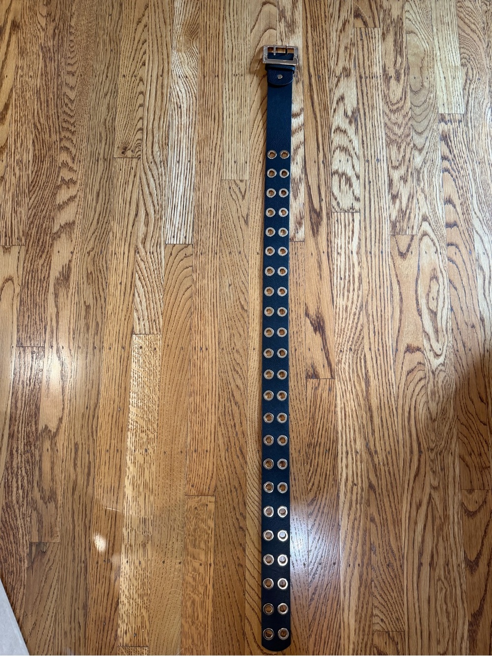 Elie Tahari Black Leather Gold Grommet Eyelet Belt